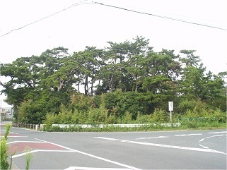 台場.jpg